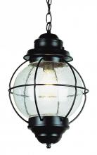  69906 RBZ - Catalina 19" Hanging Lantern Pendant Light